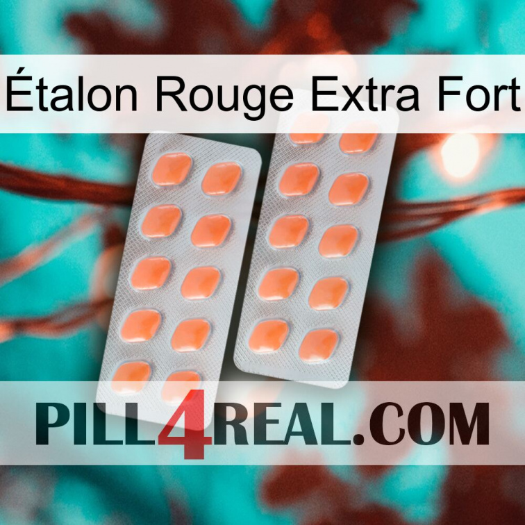 Étalon Rouge Extra Fort 27